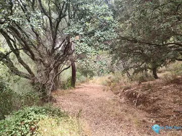 150000m2 Plot for Sale in Istán-37556