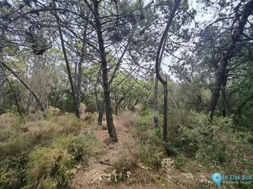 150000m2 Plot for Sale in Istán-37563