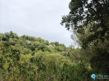 150000m2 Plot for Sale in Istán-37565