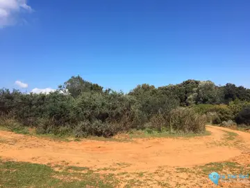 143500m2 Plot for Sale in Manilva-38276