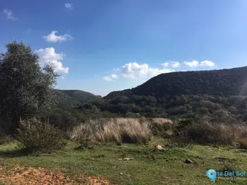 143500m2 Plot for Sale in Manilva-38280
