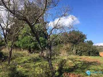 143500m2 Plot for Sale in Manilva-38284