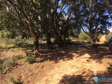 143500m2 Plot for Sale in Manilva-38286
