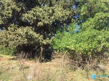 143500m2 Plot for Sale in Manilva-38289