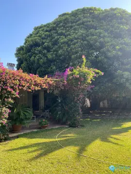4 bedroom House for Sale in Guadalmina Baja-38375