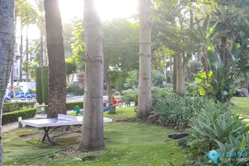 3 bedroom Apartment for Sale in Puerto Banús-38419