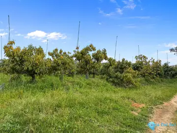 1 bedroom House for Sale in Sotogrande-38577