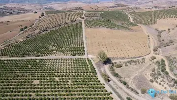 580000m2 Plot for Sale in Coín-39361