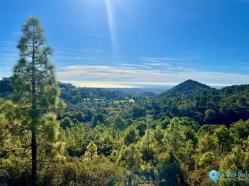 34506m2 Plot for Sale in Benahavís-39376