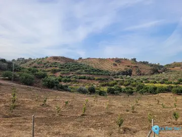 110000m2 Plot for Sale in Guaro-40818