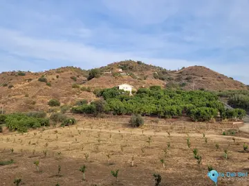 110000m2 Plot for Sale in Guaro-40819