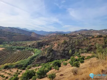 110000m2 Plot for Sale in Guaro-40820