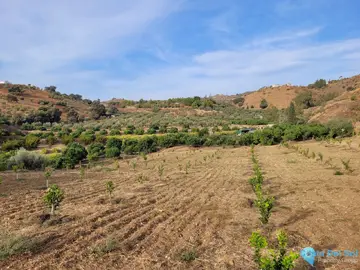 110000m2 Plot for Sale in Guaro-40822