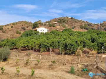 110000m2 Plot for Sale in Guaro-40823