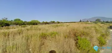 9500m2 Plot for Sale in Estepona-40849