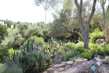 5 bedroom House for Sale in Sotogrande Costa-41206