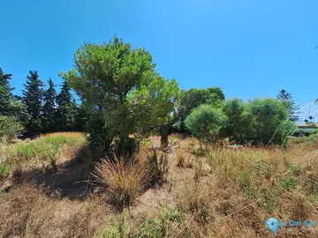 2595m2 Plot for Sale in Atalaya-41791