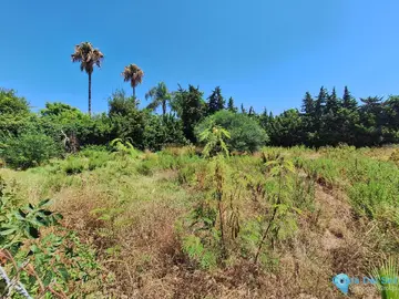 2595m2 Plot for Sale in Atalaya-41784