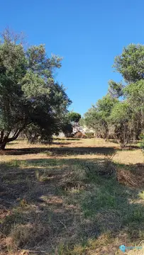 14423m2 Plot for Sale in San Pedro de Alcántara-42493