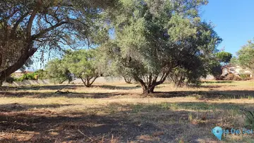 14423m2 Plot for Sale in San Pedro de Alcántara-42494
