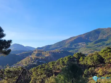 8743m2 Plot for Sale in La Zagaleta-42866