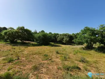 11528m2 Plot for Sale in Sotogrande-43515