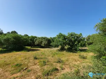 11528m2 Plot for Sale in Sotogrande-43516