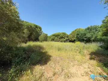 11528m2 Plot for Sale in Sotogrande-43519