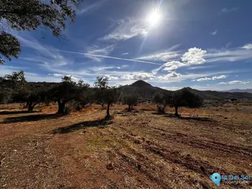 760000m2 Plot for Sale in Almogía-43626