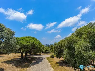10978m2 Plot for Sale in Sotogrande Alto-43683