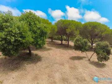 10978m2 Plot for Sale in Sotogrande Alto-43687