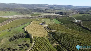 273764m2 Plot for Sale in Casares-46130