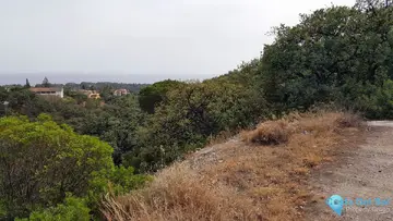 28123m2 Plot for Sale in Elviria-47901