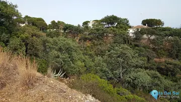 28123m2 Plot for Sale in Elviria-47902