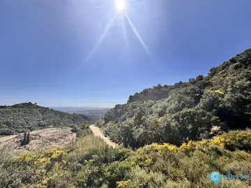 3553m2 Plot for Sale in Istán-48108