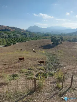 11192706m2 Plot for Sale in Jimena de la Frontera-48207