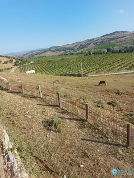 11192706m2 Plot for Sale in Jimena de la Frontera-48209