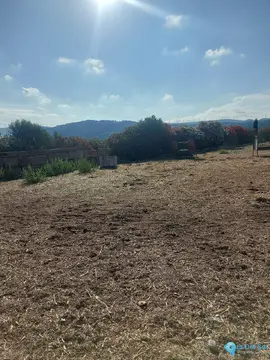 11192706m2 Plot for Sale in Jimena de la Frontera-48211