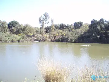 430000m2 Plot for Sale in Mijas-48218