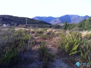 156293m2 Plot for Sale in Casares-48325