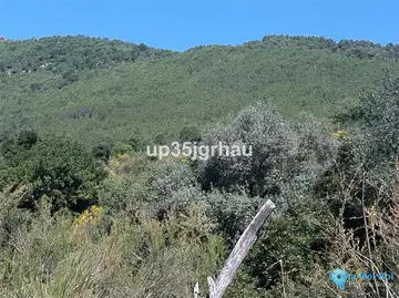1000000m2 Plot for Sale in Casares-48505
