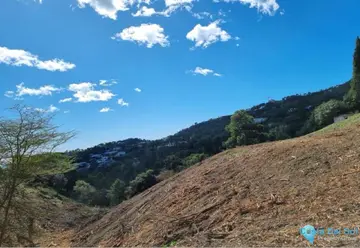 54428m2 Plot for Sale in El Madroñal-49416