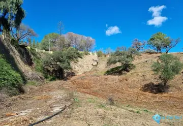 54428m2 Plot for Sale in El Madroñal-49417