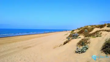 1 bedroom Apartment for Sale in Elviria-49576