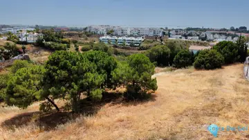 1128m2 Plot for Sale in Selwo-83751