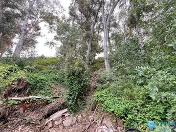 1469m2 Plot for Sale in Málaga-83808
