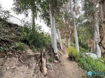 1469m2 Plot for Sale in Málaga-83817