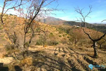 9283m2 Plot for Sale in Tolox-58679