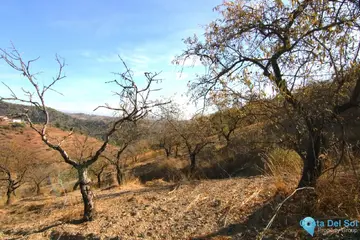 9283m2 Plot for Sale in Tolox-58680
