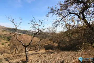 9283m2 Plot for Sale in Tolox-58684